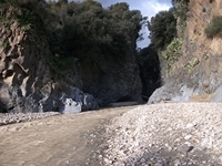 cantara gole23122011 035